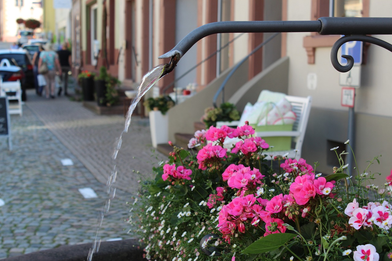 village fountain, water jet, geraniums